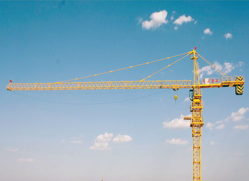 濰坊塔吊司機證去哪里考 哪個部門頒發的比較好用