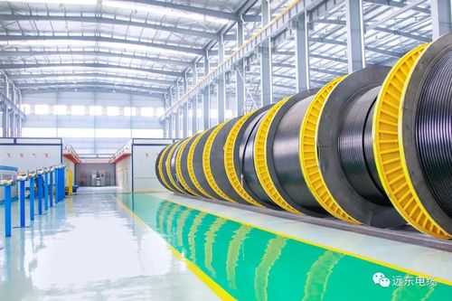 重大工程丨遠(yuǎn)東見(jiàn)證特高壓跨越式發(fā)展