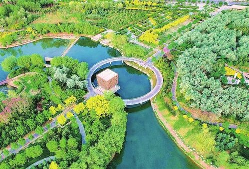 繪就綠色發(fā)展新畫卷 武威市涼州區(qū)推進生態(tài)文明建設綜述